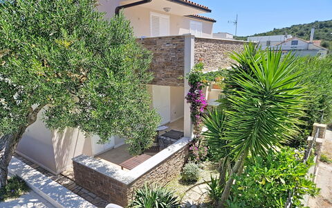 Vinka: Shrub, Garden, Shade, Landscaping, Estate, Yard, Hacienda, Courtyard, Backyard