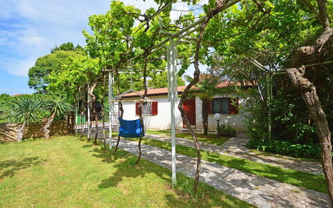 Aron: Plant, Cloud, Sky, Tree, Window, Shade, Building, Natural Landscape, Grass, Cottage