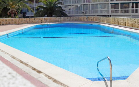 Halcon Levante: Water, Property, Building, Plant, Swimming Pool, Azure, Rectangle, Shade, Window, Tree
