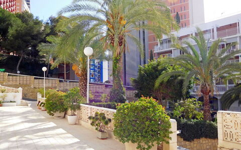 Halcon Levante: Plant, Building, Window, Property, Sky, Flower, Azure, Botany, Flowerpot, Tree