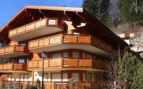 Les Cîmes 8: Plant, Property, Building, Sky, Window, Tree, Wood, Residential Area, Leisure, Facade