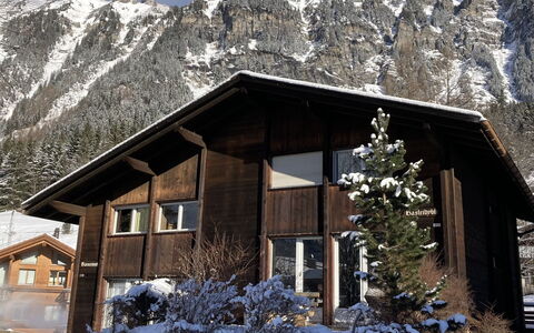 Bärnermutz: Plant, Snow, Building, Property, Mountain, Window, Nature, House, Slope, Architecture