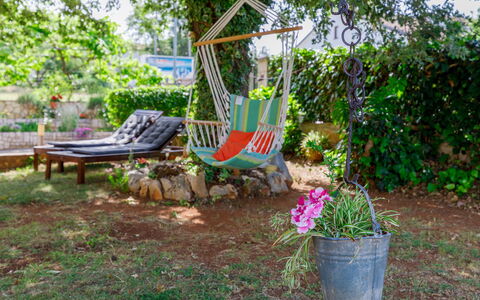 Poreč 307: Plant, Furniture, Flowerpot, Flower, Outdoor Furniture, Shade, Outdoor Bench, Houseplant, Tree, Grass