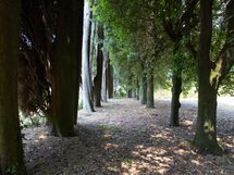 Villa Rocchi