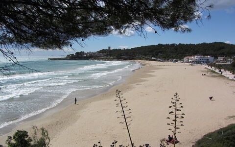 Vistamar: Body Of Water, Beach, Coast, Shore, Sea, Sky, Water, Ocean, Coastal And Oceanic Landforms, Sand