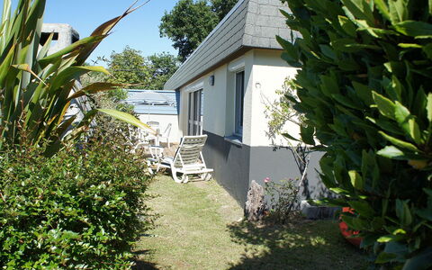 Ty Greg: Plant, Property, Plant Community, Building, Sky, Tree, House, Vegetation, Arecales, Land Lot