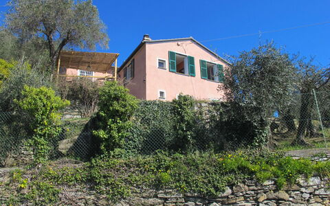 Ca Dò Sante: Plant, Sky, Plant Community, Window, Building, House, Land Lot, Tree, Cottage