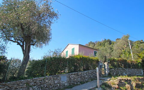 Ca Dò Sante: Plant, Sky, Property, Tree, Vegetation, Slope, Road Surface, Shrub, Natural Landscape, Landscape