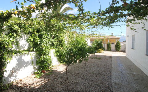Mexico: Plant, Sky, Building, Land Lot, Shade, Road Surface, Grass, Landscape, Window, Tints And Shades