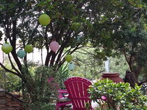Accommodation:&nbsp;Tamarispa 6