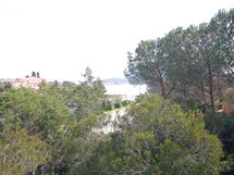 Baja Caddinas