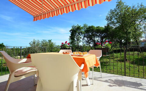 Lory: Plant, Table, Sky, Furniture, Building, Chair, Shade, Outdoor Table, Outdoor Furniture, Tree