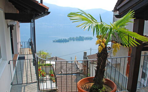 Ronco Sopra Ascona 75: Sky, Plant, Flowerpot, Houseplant, Building, Cloud, Vegetation, Mountain, Wood, Arecales