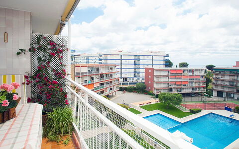 Mariola: Cloud, Sky, Plant, Building, Daytime, Window, Flower, Flowerpot, Urban Design, House