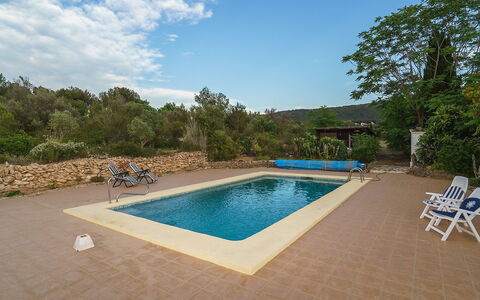 Forest: Water, Sky, Swimming Pool, Plant, Cloud, Tree, Shade, Chair, Outdoor Furniture, Rectangle