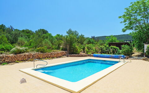 Forest: Water, Sky, Building, Plant, Swimming Pool, Green, Tree, Azure, Rectangle, Shade