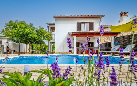 Marija: Flower, Plant, Water, Sky, Property, Building, Azure, Architecture, Window, Swimming Pool