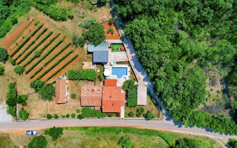 Marija: Plant, Building, Natural Landscape, Tree, Land Lot, Urban Design, Thoroughfare, Slope, House, Residential Area
