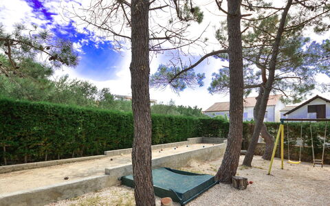 Ivan: Sky, Cloud, Plant, Natural Landscape, Tree, Shade, Wood, Trunk, Landscape, Grass
