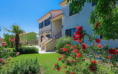 Medulin 111: Plant, Flower, Building, Sky, Window, House, Tree, Cottage, Grass, Facade
