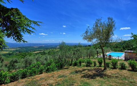 Casa Olivia: Nature, Vegetation, Sky, Natural Landscape, Blue, Property, Tree, Green, Natural Environment, Wilderness