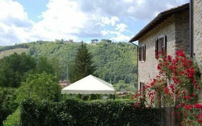 External view