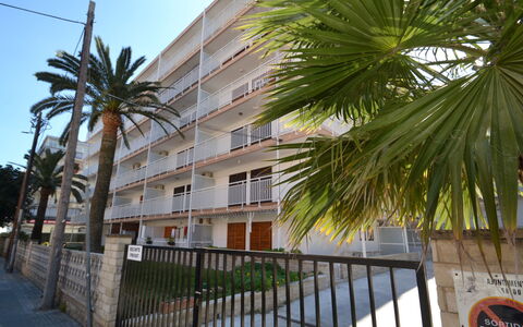 Flandria: Building, Daytime, Sky, Plant, Tree, Arecales, Fence, Terrestrial Plant, Urban Design, Woody Plant