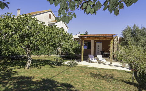 Lorenzo: Sky, Plant, Property, Building, Tree, Shade, Architecture, Land Lot, Vegetation, Neighbourhood