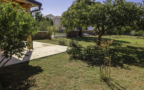 Lorenzo: Sky, Plant, Property, Building, Shade, Land Lot, Road Surface, Tree, Grass, Biome