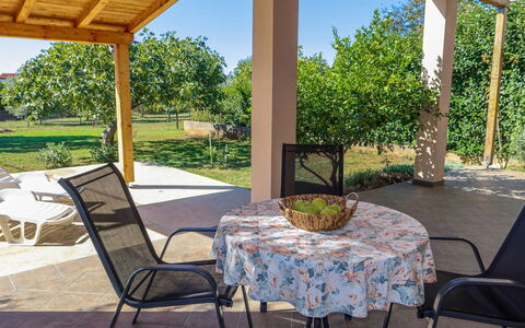 Lorenzo: Furniture, Property, Table, Plant, Chair, Sky, Outdoor Table, Shade, Lighting, Interior Design
