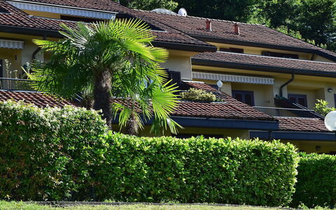 La Romantica: Plant, Building, Window, Plant Community, Green, Tree, House, Vegetation, Grass, Residential Area