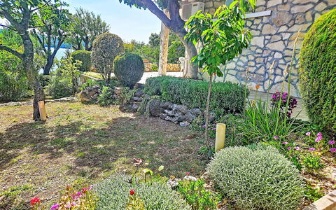 Matal: Flower, Garden, Shrub, Plant Community, Groundcover, Spring, Backyard, Landscaping, Yard