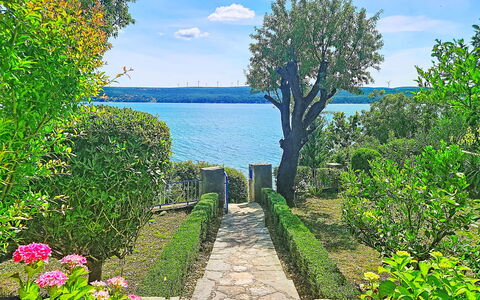 Matal: Blue, Green, Shrub, Garden, Sea, Spring, Lake, Ocean, Coast, Reservoir