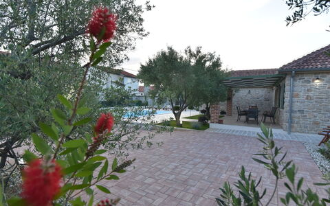 Mate Ceko: Property, Flower, House, Plant, Botany, Garden, Tree, Home, Spring, Building