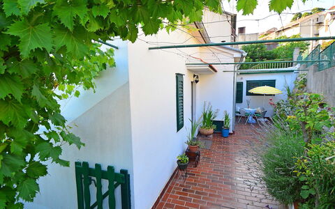 Elin: Green, Property, House, Neighbourhood, Architecture, Building, Real Estate, Leaf, Wall, Courtyard