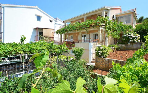Snježana: Plant, Building, Sky, Window, Property, Plant Community, House, Tree, Vegetation, Land Lot