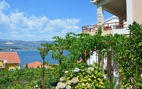 Snježana: Sky, Flower, Plant, Cloud, Property, Building, Window, Nature, Azure, House