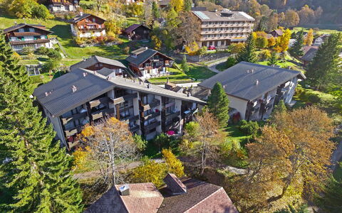 Wengen 59: Aerial Photography, Mountain Village, Roof, Property, Human Settlement, House, Town, Residential Area, Tree, Home