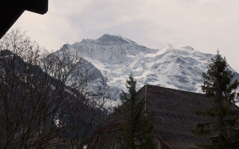 Im Gruebi Apt.5: Cloud, Sky, Mountain, Snow, Slope, Tree, Plant, Highland, Atmospheric Phenomenon, Mountainous Landforms