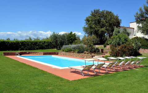 Di Vinci: Swimming Pool, Property, Grass, Real Estate, Backyard, House, Land Lot, Lawn, Landscape, Yard