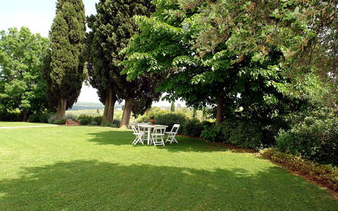 Di Vinci: Lawn, Grass, Property, Tree, Garden, Natural Landscape, House, Yard, Grass Family, Shrub