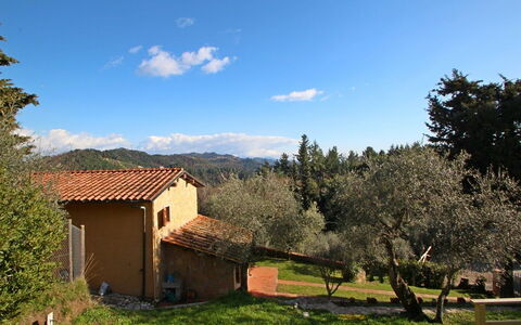 Villa Del Colle: Cloud, Plant, Sky, Property, Ecoregion, Natural Landscape, Tree, Natural Environment, Window, Land Lot