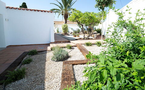 Trebol: Property, Vegetation, Real Estate, Yard, House, Garden, Wall, Grass, Backyard, Residential Area