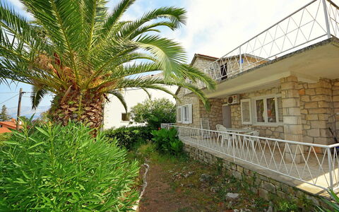 Villa Palma: Plant, Sky, Property, Cloud, Plant Community, Window, Building, Botany, Vegetation, Arecales