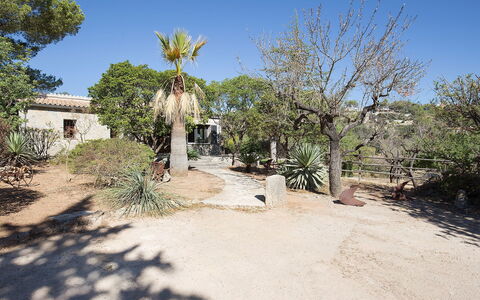 Can Coll: Property, Tree, Vegetation, Sky, Natural Environment, Plant Community, Wilderness, Botany, Shrubland, Real Estate