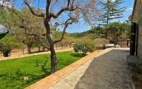 Can Coll: Property, Tree, Real Estate, Grass, Estate, Spring, House, Building, Architecture, Home