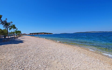 Ante: Sky, Water, Tree, Beach, Coastal And Oceanic Landforms, Landscape, Natural Landscape, Horizon, Wind Wave, Sand