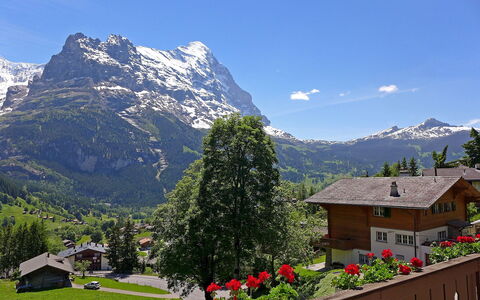 Chalet im Klusi: Sky, Plant, Mountain, Flower, Cloud, Property, Ecoregion, Window, Nature, Leaf
