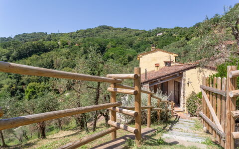 Villa Mastiano: Property, Rural Area, Real Estate, Tree, House, Landscape, Building, Plant, Village, Road