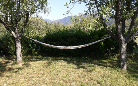 Appartamento Porretta Terme: Tree, Vegetation, Natural Landscape, Natural Environment, Nature Reserve, Grass, Leaf, Botany, Forest